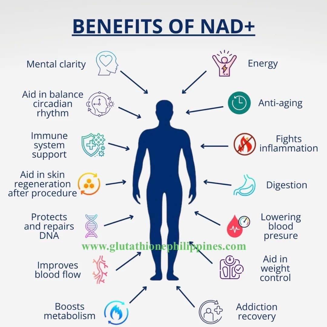 BIO-NAD 100 nicotinamide adenine dinucleotide injection 100mg — image 5
